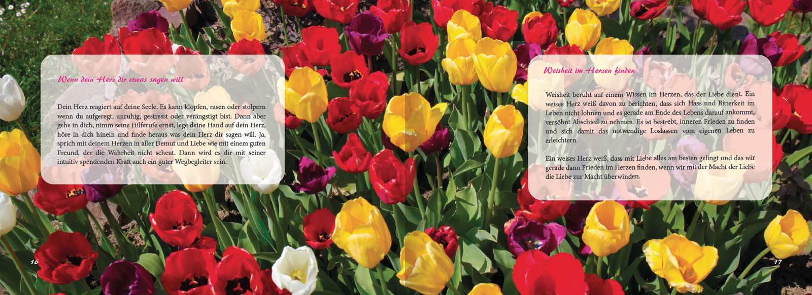 Herzbuch Tulpen